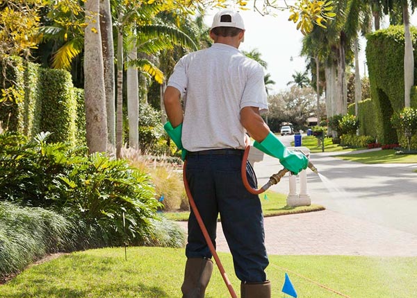 About Farmingdale NY Pest Control Pros